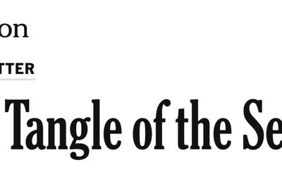 The New York Times The New York Times